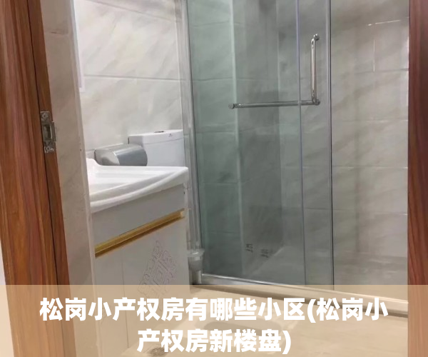 松岗小产权房有哪些小区(松岗小产权房新楼盘)