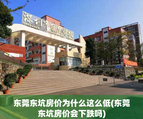 东莞东坑房价为什么这么低(东莞东坑房价会下跌吗)