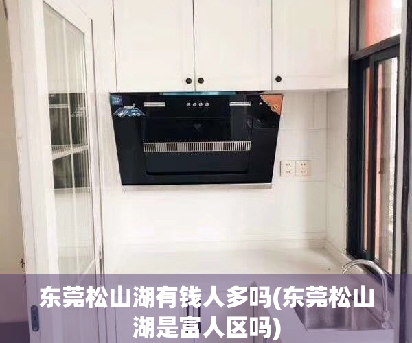 东莞松山湖有钱人多吗(东莞松山湖是富人区吗)