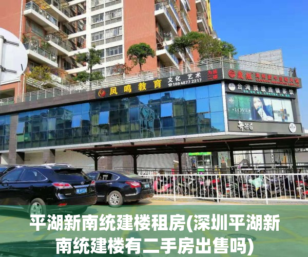 平湖新南统建楼租房(深圳平湖新南统建楼有二手房出售吗)