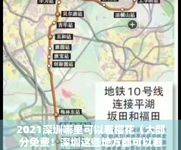 2021深圳哪里可以看樱花（大部分免费！深圳这些地方都可以看樱花，有你家附近的吗？）