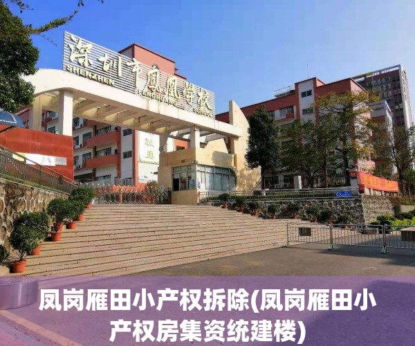 凤岗雁田小产权拆除(凤岗雁田小产权房集资统建楼)
