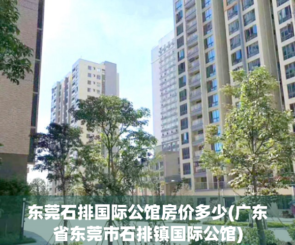 东莞石排国际公馆房价多少(广东省东莞市石排镇国际公馆)