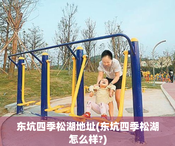 东坑四季松湖地址(东坑四季松湖怎么样?)