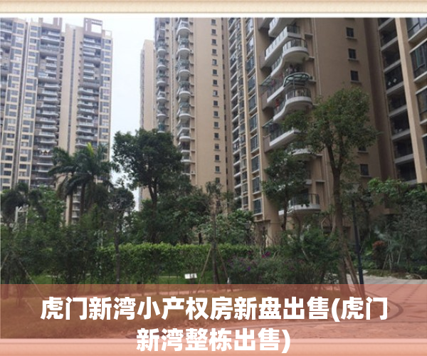 虎门新湾小产权房新盘出售(虎门新湾整栋出售)