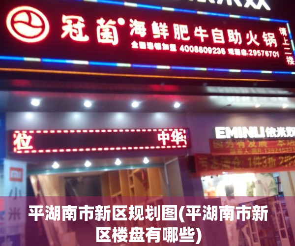 平湖南市新区规划图(平湖南市新区楼盘有哪些)