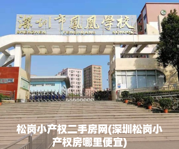 松岗小产权二手房网(深圳松岗小产权房哪里便宜)