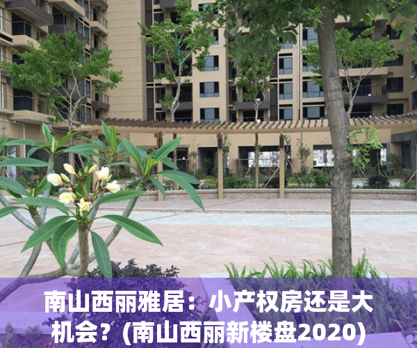 南山西丽雅居：小产权房还是大机会？(南山西丽新楼盘2020)