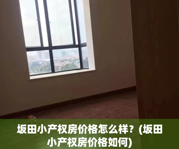 坂田小产权房价格怎么样？(坂田小产权房价格如何)