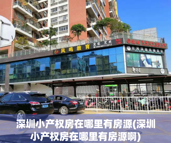 深圳小产权房在哪里有房源(深圳小产权房在哪里有房源啊)
