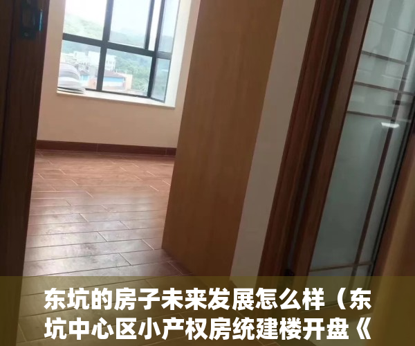 东坑的房子未来发展怎么样（东坑中心区小产权房统建楼开盘《明星豪庭》三栋封闭式管理）