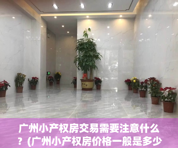 广州小产权房交易需要注意什么？(广州小产权房价格一般是多少钱)