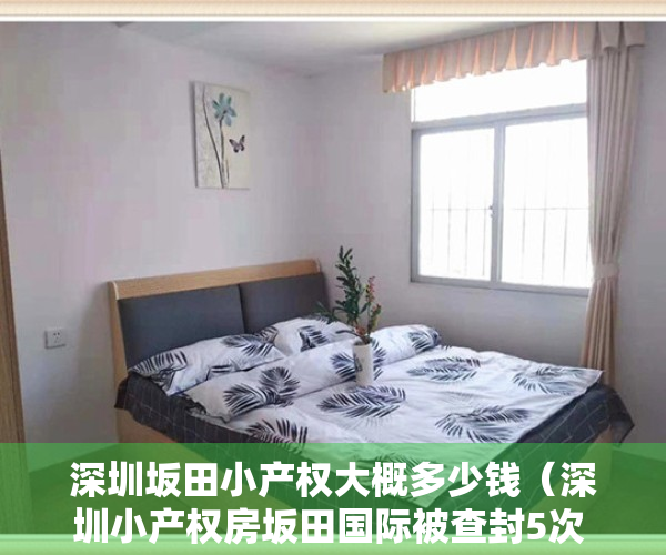 深圳坂田小产权大概多少钱（深圳小产权房坂田国际被查封5次 封条被风吹走？）