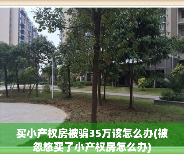 买小产权房被骗35万该怎么办(被忽悠买了小产权房怎么办)