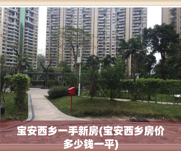宝安西乡一手新房(宝安西乡房价多少钱一平)