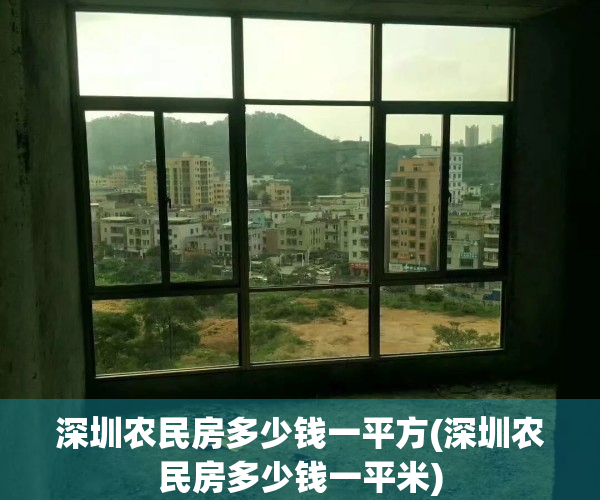 深圳农民房多少钱一平方(深圳农民房多少钱一平米)