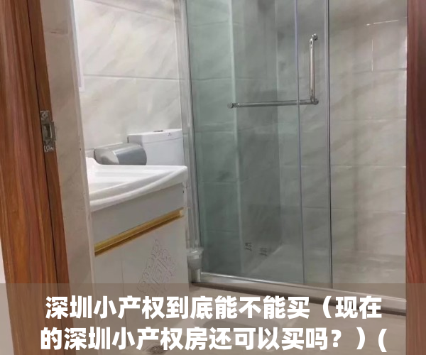 深圳小产权到底能不能买（现在的深圳小产权房还可以买吗？）(深圳小产权房可以购买吗)