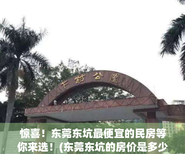 惊喜！东莞东坑最便宜的民房等你来选！(东莞东坑的房价是多少)