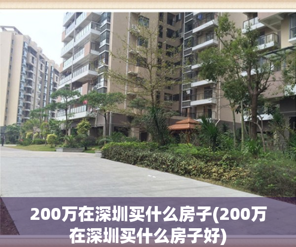 200万在深圳买什么房子(200万在深圳买什么房子好)
