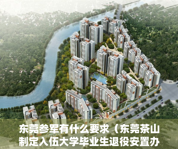 东莞参军有什么要求（东莞茶山制定入伍大学毕业生退役安置办法 每年安排3至5个政府岗位）