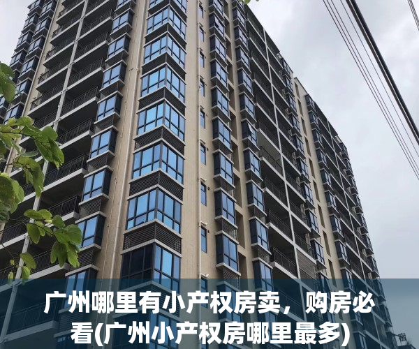 广州哪里有小产权房卖，购房必看(广州小产权房哪里最多)