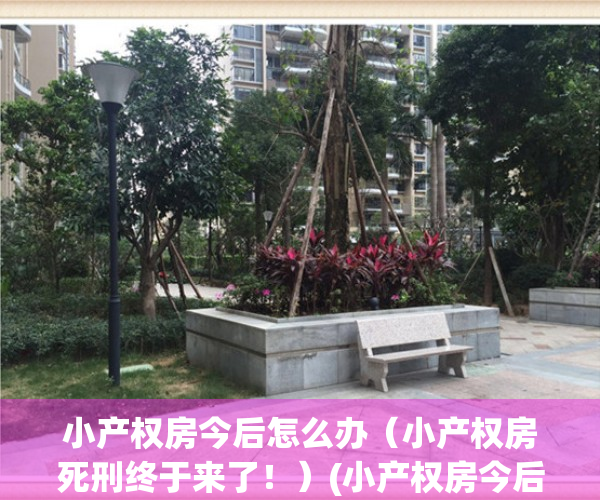 小产权房今后怎么办（小产权房死刑终于来了！）(小产权房今后是如何处理)
