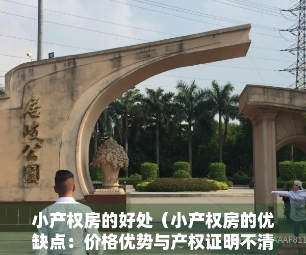 小产权房的好处（小产权房的优缺点：价格优势与产权证明不清晰的风险）