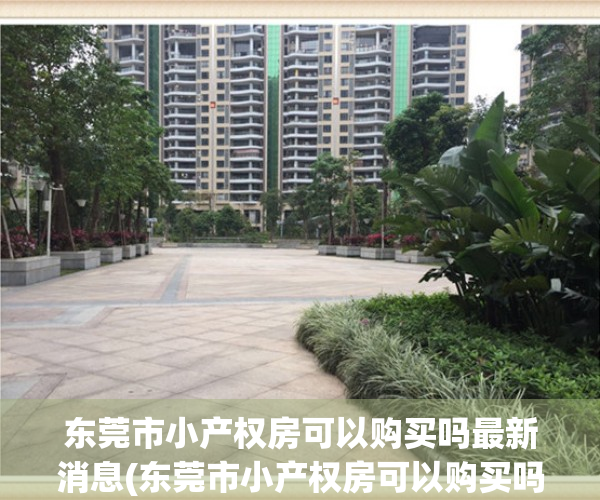 东莞市小产权房可以购买吗最新消息(东莞市小产权房可以购买吗最新消息图片)
