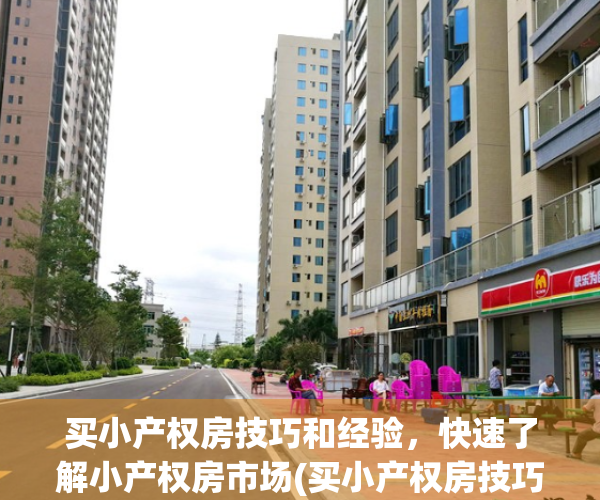 买小产权房技巧和经验，快速了解小产权房市场(买小产权房技巧和经验,快速了解小产权房市场价值)