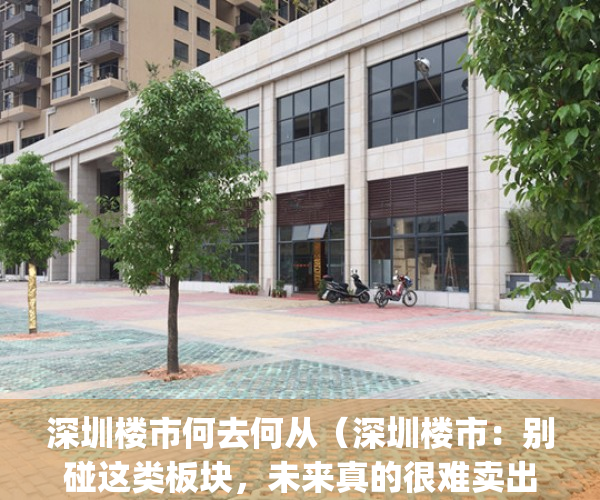 深圳楼市何去何从（深圳楼市：别碰这类板块，未来真的很难卖出去！）(深圳房价何去何从)