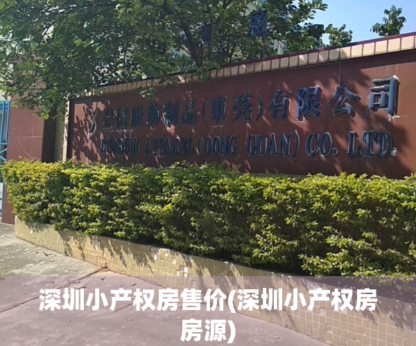 深圳小产权房售价(深圳小产权房房源)
