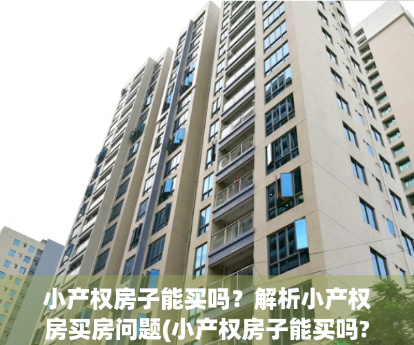 小产权房子能买吗？解析小产权房买房问题(小产权房子能买吗?解析小产权房买房问题吗)