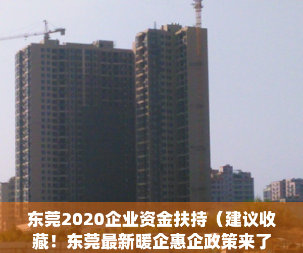 东莞2020企业资金扶持（建议收藏！东莞最新暖企惠企政策来了！）(东莞企业补贴政策)
