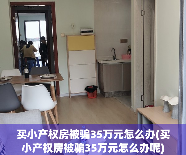 买小产权房被骗35万元怎么办(买小产权房被骗35万元怎么办呢)