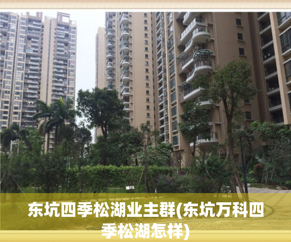 东坑四季松湖业主群(东坑万科四季松湖怎样)