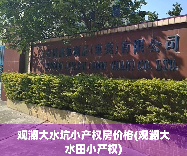 观澜大水坑小产权房价格(观澜大水田小产权)