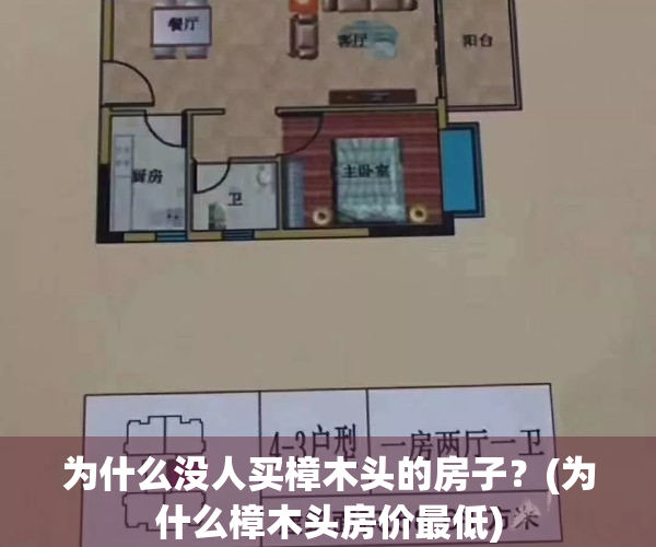 为什么没人买樟木头的房子？(为什么樟木头房价最低)
