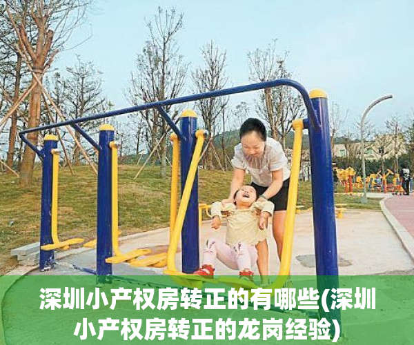 深圳小产权房转正的有哪些(深圳小产权房转正的龙岗经验)
