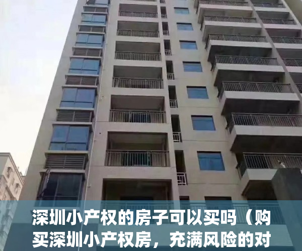 深圳小产权的房子可以买吗（购买深圳小产权房，充满风险的对赌）(深圳小产权房可以买吗?)