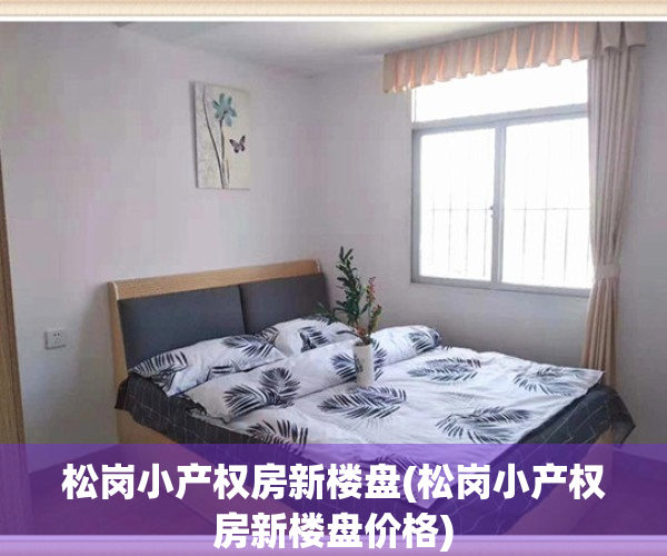 松岗小产权房新楼盘(松岗小产权房新楼盘价格)