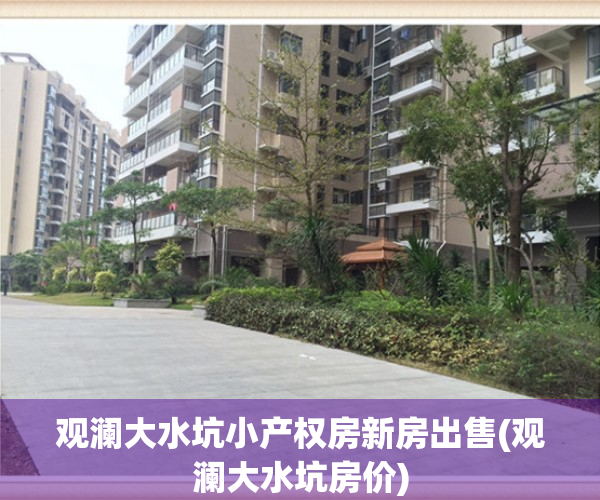 观澜大水坑小产权房新房出售(观澜大水坑房价)