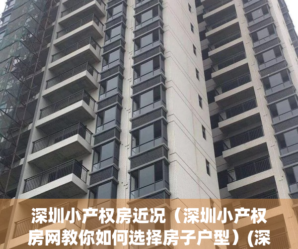 深圳小产权房近况（深圳小产权房网教你如何选择房子户型）(深圳小产权房大全)