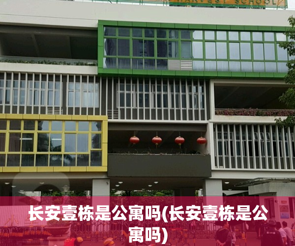 长安壹栋是公寓吗(长安壹栋是公寓吗)