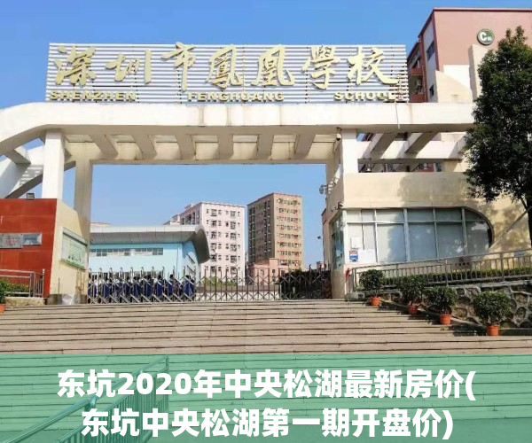 东坑2020年中央松湖最新房价(东坑中央松湖第一期开盘价)