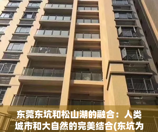 东莞东坑和松山湖的融合：人类城市和大自然的完美结合(东坑为啥不属于松山湖区)