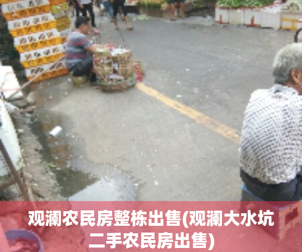 观澜农民房整栋出售(观澜大水坑二手农民房出售)