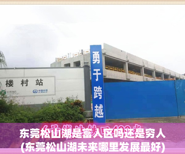 东莞松山湖是富人区吗还是穷人(东莞松山湖未来哪里发展最好)