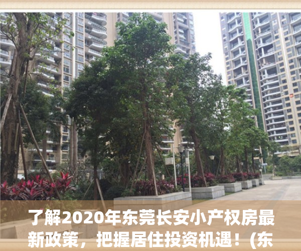 了解2020年东莞长安小产权房最新政策，把握居住投资机遇！(东莞长安小产权房新楼盘)