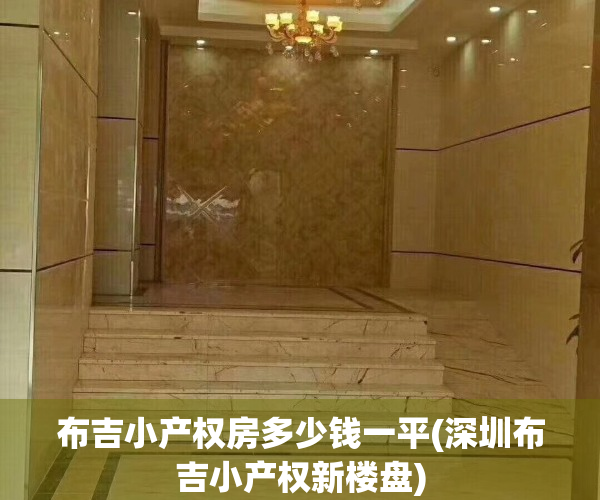 布吉小产权房多少钱一平(深圳布吉小产权新楼盘)