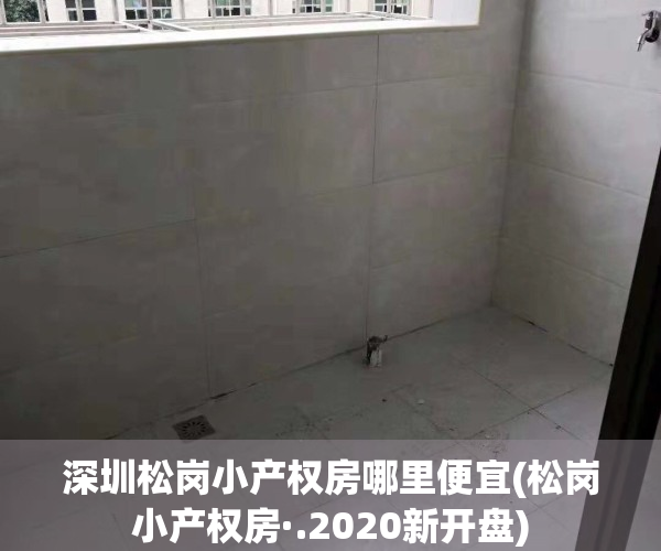 深圳松岗小产权房哪里便宜(松岗小产权房·.2020新开盘)